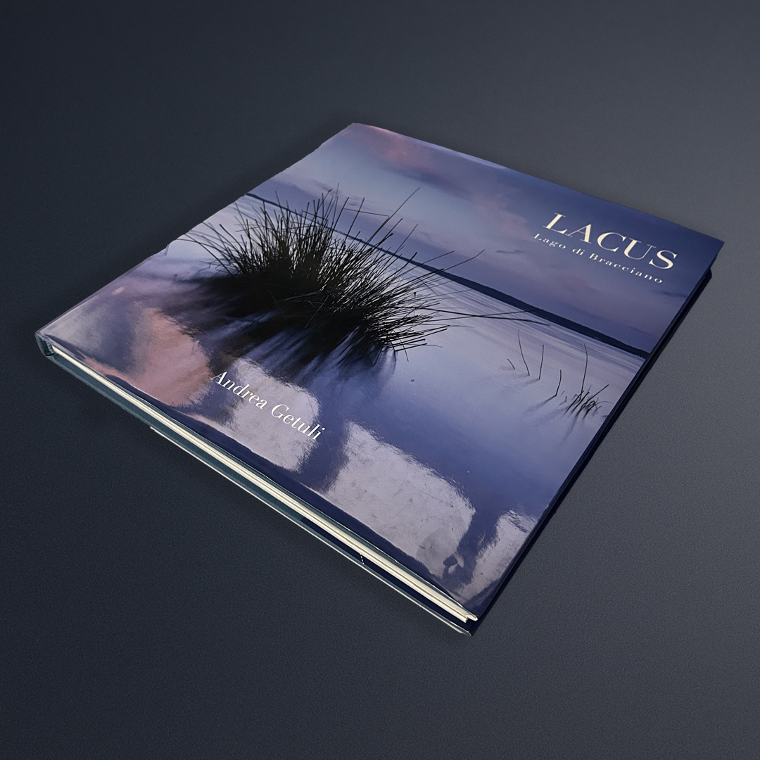 Portfolio item 3